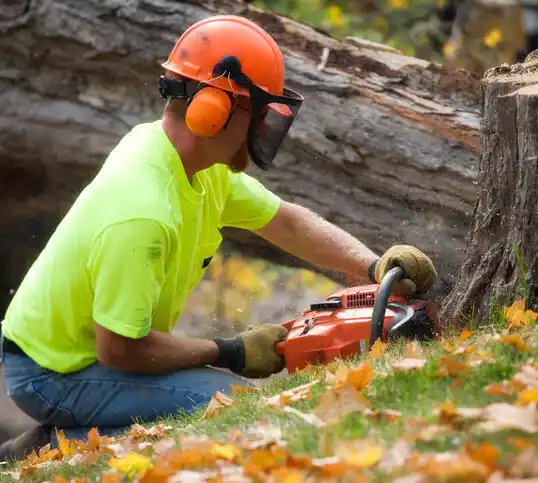 tree services Gahanna